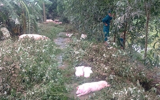 Nước mắt người Quảng Bình tuôn rơi khi lũ dữ cuốn sạch tài sản
