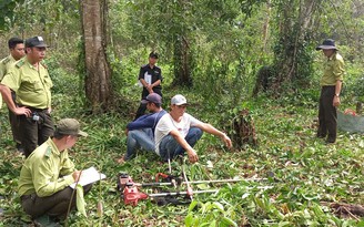 Phú Quốc: Bắt quả tang 2 người chặt phá gần 2.000 m2 rừng đặc dụng