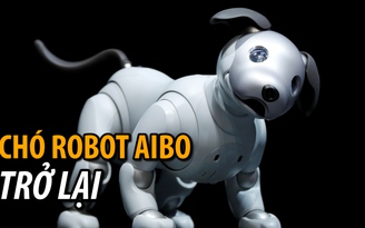 Aibo, chó robot thông minh của Sony trở lại - lợi hại hơn xưa!