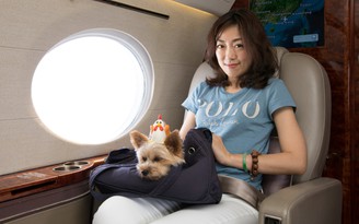 SỐC: Thuê riêng máy bay chở chó đi du lịch!