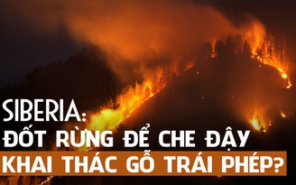 Cháy rừng khủng khiếp tại Siberia là để che giấu phá rừng?