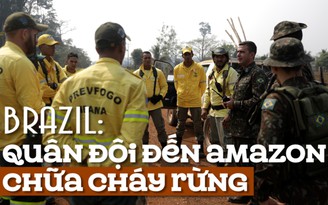 'Buồng phổi của trái đất' lâm nguy, tổng thống Brazil điều quân đội đi chữa cháy