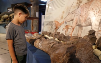 Phát hiện hóa thạch của loài khủng long mới tại Argentina