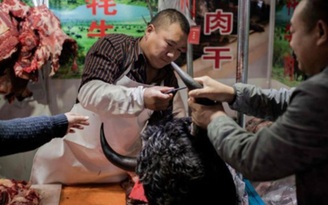 Gần 700 người Trung Quốc bị bắt vì vi phạm lệnh cấm thịt thú rừng để phòng dịch Covid-19