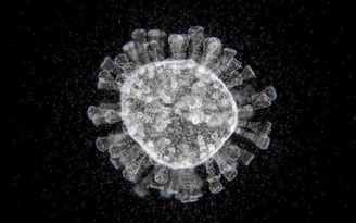 Virus corona chủng mới có ít nhất 8 biến thể, nhưng không nguy hiểm hơn