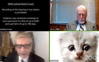 'Tôi không phải con mèo': filter làm luật sư phát ngượng giữa cuộc họp trực tuyến