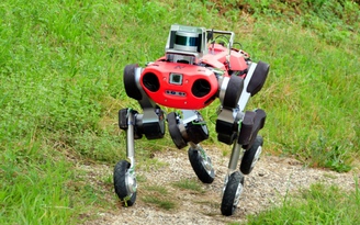 Làm sao để 'chó robot' vượt đường gập ghềnh mà không ngã?