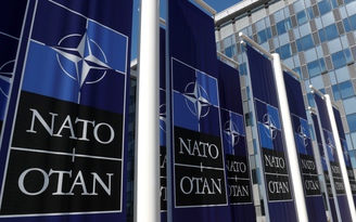 Phần Lan có thể gia nhập NATO mà không cần trưng cầu dân ý