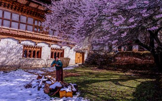 Cẩm nang chọn tour du lịch Bhutan