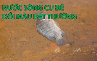 Đà Nẵng: Nước sông Cu Đê đổi màu bất thường