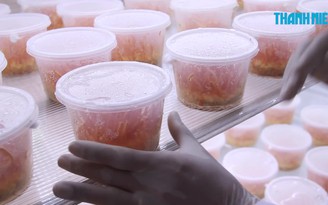 Đông Trùng Hạ Thảo áp dụng công nghệ 4.0, giá 20 triệu/ kg