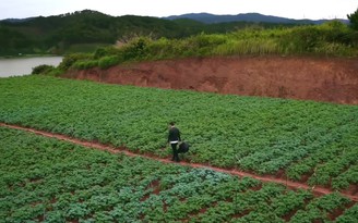 Đà Lạt, miền đất lành làm say lòng lữ khách