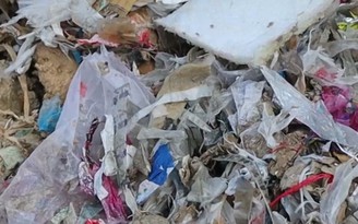 Tài xế đổ trộm rác thải ra môi trường bị rắn độc cắn khi đang chạy trốn