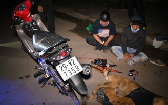 Tóm 2 người đàn ông trộm chó “có thâm niên” tại Trà Vinh