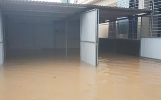 Người dân TP.Đông Hà kêu cứu vì cứ mưa là ngập lụt