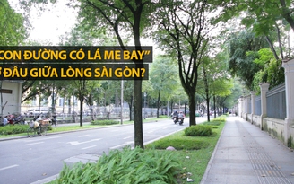 Đường Sài Gòn có lá me bay