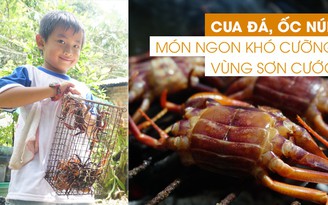 [360 ĐỘ NGON] Cua đá, ốc núi - món ngon khó cưỡng vùng sơn cước