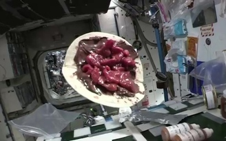 Phi hành gia Pháp 'làm xấu hổ' ẩm thực Pháp khi làm bánh crêpe trên trạm không gian ISS