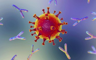 Tìm ra kháng thể giảm nguy cơ bệnh nặng khi nhiễm Covid-19