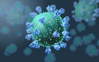 Có thật sự virus Covid-19 tiến hóa để ít nguy hiểm hơn?