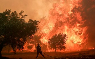Biến đổi khí hậu thúc đẩy sóng nhiệt và cháy rừng như thế nào?
