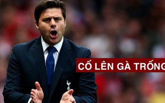 HLV Pochettino: "Spurs phải vượt qua nỗi đau để quyết chiến Liverpool"