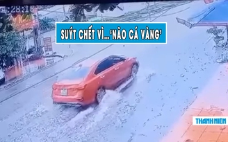 Hú vía xe tải ‘phanh cháy lốp’ tránh ô tô con sang đường cực ẩu