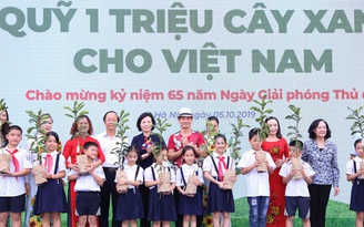 Trồng 61.000 cây xanh quanh các trường học ở Hà Nội