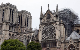 Cầu kỳ chọn gỗ sồi trăm tuổi dựng lại tháp Nhà thờ Đức Bà Paris