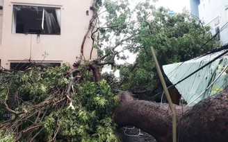 Ảnh hưởng bão số 9, học sinh tỉnh Bà Rịa - Vũng Tàu nghỉ học ngày 26.11
