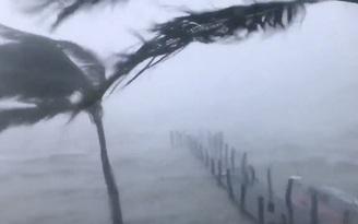 Bão Irma 'cày nát' Florida