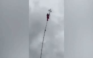 Bà ngoại 80 tuổi treo mình ở độ cao trên 30 m