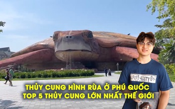 Thủy cung hình rùa ở Phú Quốc: Top 5 thủy cung lớn nhất thế giới