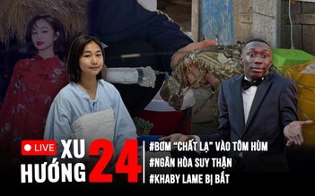 Xu Hướng 24: Loạt bất thường mùa cao điểm chống hàng giả | Cận cảnh bơm tạp chất vào tôm hùm chết