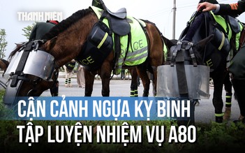 Ngắm kỵ binh cảnh sát cơ động luyện tập trước thềm lễ diễu binh A80
