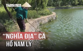 Hơn 100 kg cá chết trắng hồ Nam Lý, mùi hôi bủa vây người dân