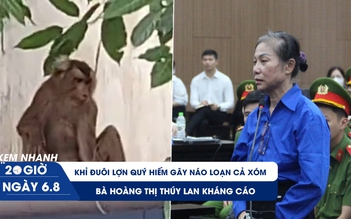 Xem nhanh 20h ngày 6.8: Bà Hoàng Thị Thúy Lan kháng cáo | Khỉ đuôi lợn quý hiếm gây náo loạn cả xóm 