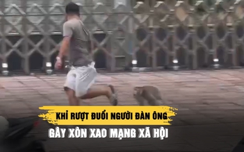 Khỉ rượt đuổi người đàn ông ở TP.HCM gây xôn xao mạng xã hội