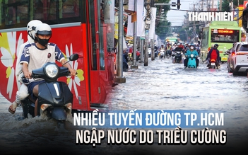 Triều cường dâng cao, đường Phạm Hữu Lầu nước ngập gần bánh xe máy