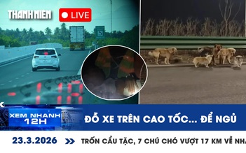 Xem nhanh 12h: Tuần này ở TP.HCM nóng nhất 36 độ | Trốn cẩu tặc, 7 chú chó vượt 17 km về nhà