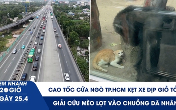 Xem nhanh 20h ngày 25.4: Cao tốc cửa ngõ TP.HCM kẹt xe dịp Giỗ tổ | Giải cứu mèo lọt vào chuồng dã nhân
