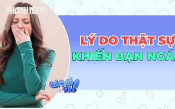 Lý do thật sự khiến bạn ngáp