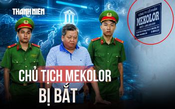 Vì sao ông Vũ Xuân Trường, Chủ tịch Mekolor bị bắt?