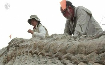 Mexico phát hiện xương khủng long hiếm