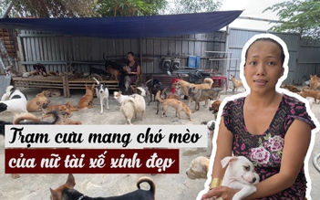 Trạm cưu mang chó mèo của nữ tài xế công nghệ xinh đẹp