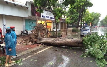 Người Hà Nội hào hiệp lao vào đỡ cây đổ cứu người trong bão số 1