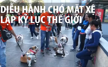 Diễu hành chó mặt xệ lập kỷ lục thế giới