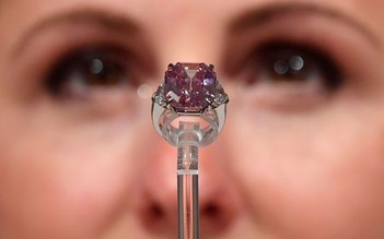 Bạn đã từng thấy viên kim cương hồng tinh khiết 19 carat chưa?