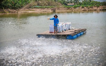 Tiêu chí lựa chọn thực phẩm của các đơn vị kinh doanh ngành Horeca