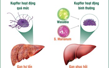 Viêm gan: “Bắt mạch” nguyên nhân để phòng trị hiệu quả